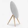 BEOSOUND A9 NATURAL ALUMINIUM-Stilsko & Brezžično, BANG & OLUFSEN