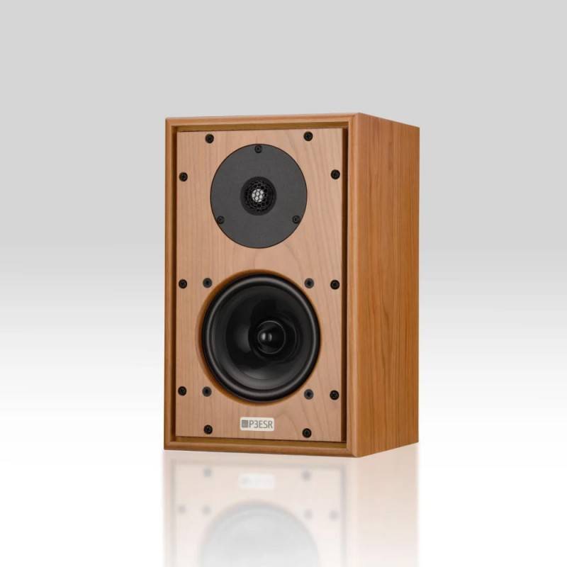 P3ESR XD2 Standmount